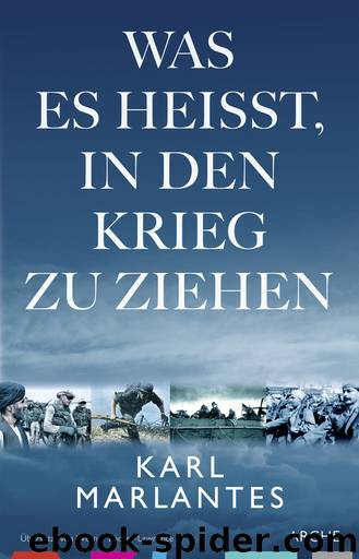 Was es heißt, in den Krieg zu ziehen by Karl Marlantes