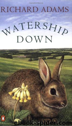 Watership Down.: Unten am Fluß. by Richard Adams