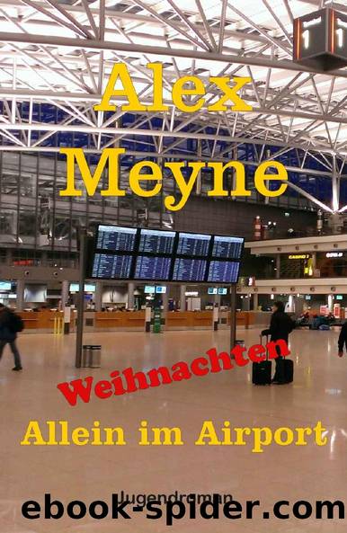 Weihnachten - Allein im Airport (German Edition) by Alex Meyne