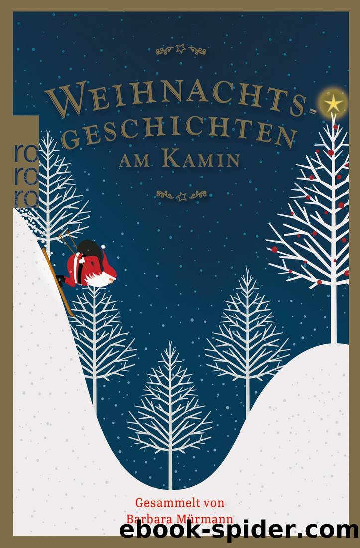 Weihnachtsgeschichten am Kamin 35 by Mürmann Barbara