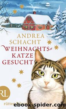 Weihnachtskatze gesucht by Schacht Andrea