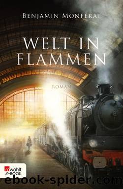 Welt in Flammen by Monferat Benjamin