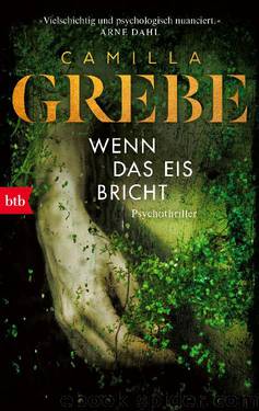 Wenn das Eis bricht by Camilla Grebe