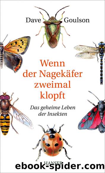 Wenn der Nagekäfer zweimal klopft by Dave Goulson