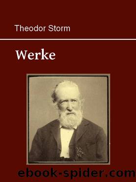 Werke by Storm Theodor