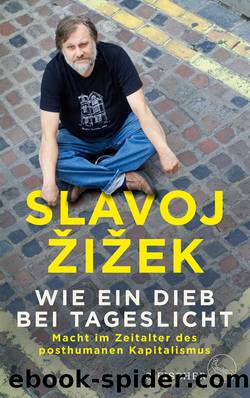 Wie ein Dieb bei Tageslicht by Slavoj Žižek