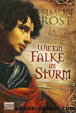 Wie ein Falke im Sturm by Simon X. Rost