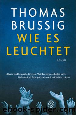 Wie es leuchtet. Roman by Thomas Brussig