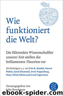 Wie funktioniert die Welt? by Brockman John