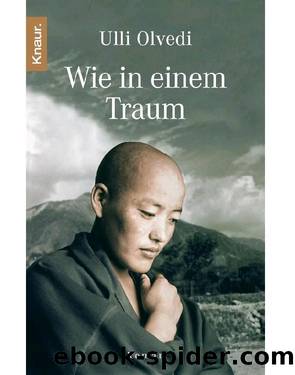 Wie in einem Traum: Roman (German Edition) by Ulli Olvedi