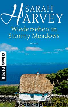 Wiedersehen in Stormy Meadows by Sarah Harvey