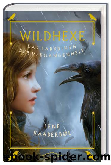 Wildhexe â Das Labyrinth der Vergangenheit by Lene Kaaberbøl