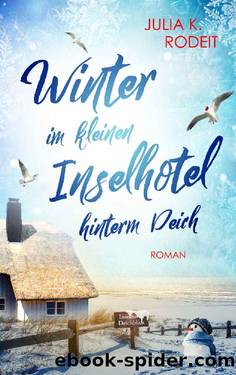 Winter im kleinen Inselhotel hinterm Deich (InseltrÃ¤ume auf Amrum 2) (German Edition) by Julia K. Rodeit