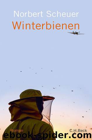 Winterbienen by Scheuer Norbert