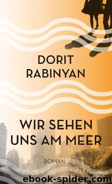 Wir sehen uns am Meer. Roman by Dorit Rabinyan