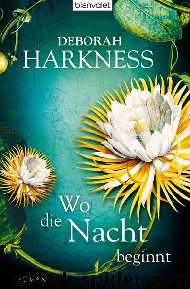 Wo die Nacht beginnt by Harkness Deborah