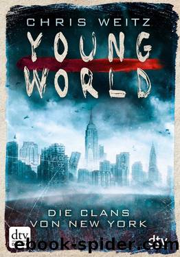 Young World - Die Clans von New York by Chris Weitz