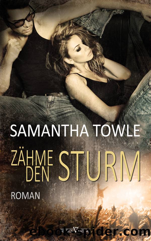 Zähme den Sturm: The Storm 3 by Samantha Towle