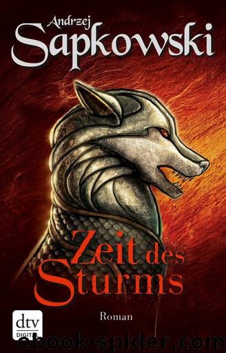 Zeit des Sturms by Sapkowski Andrzej