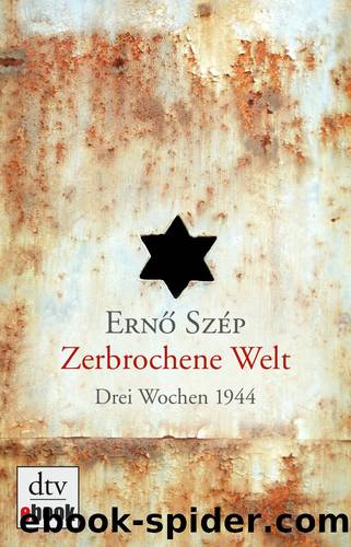 Zerbrochene Welt by Szép Ernő