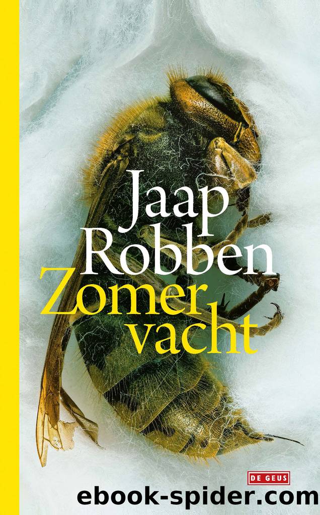 Zomervacht by Jaap Robben