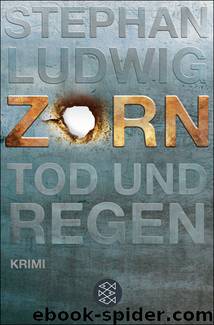 Zorn - Tod und Regen by Ludwig Stephan