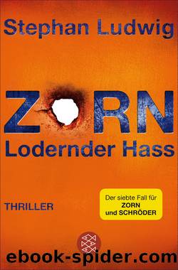 Zorn 07 - Lodernder Hass by Stephan Ludwig