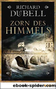 Zorn des Himmels: Historischer Roman (German Edition) by Dübell Richard