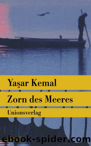 Zorn des Meeres by Yaşar Kemal