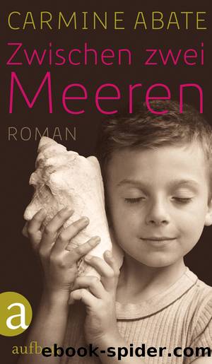 Zwischen zwei Meeren - Roman by Carmine Abate