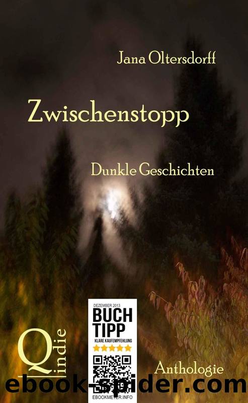 Zwischenstopp - Dunkle Geschichten (German Edition) by Jana Oltersdorff