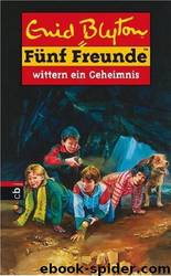 wittern ein Geheimnis by Enid Blyton