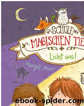 (Schule der magischen Tiere 3) Licht aus by Margit Auer