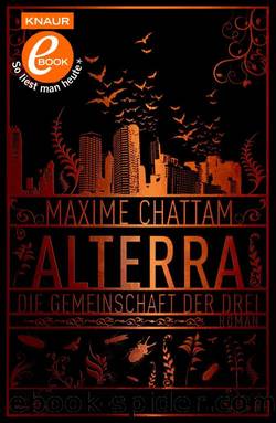 Alterra Bd. 1 - Die Gemeinschaft der Drei by Maxime Chattam