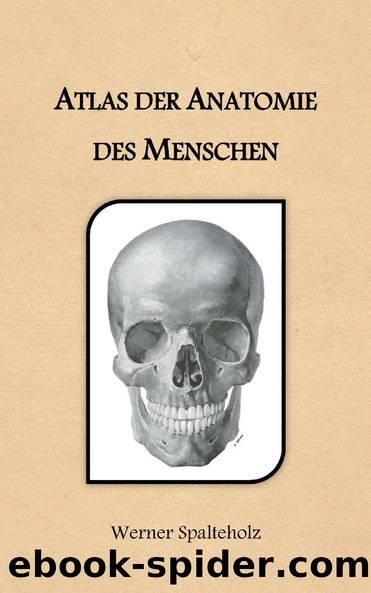 Atlas der Anatomie des Menschen (German Edition) by Werner Spalteholz