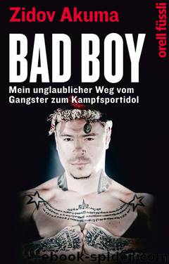 Bad Boy · Mein unglaublicher Weg vom Gangster zum Kampfsportidol by Akuma Zidov