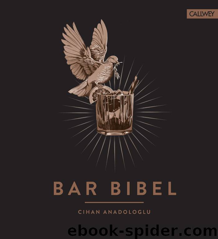 Bar Bibel (German Edition) by Cihan Anadologlu