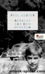 Bericht aus dem Inneren by Paul Auster