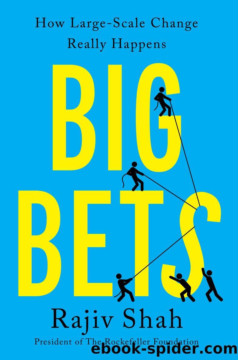Big Bets by Rajiv Shah