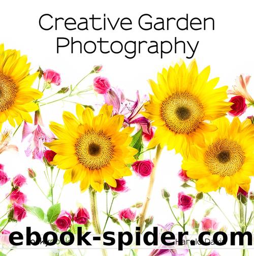 Creative Garden Photography by Harold Davis