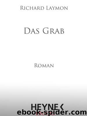 Das Grab - Roman by Richard Laymon