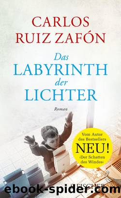 Das Labyrinth der Lichter. Roman by Carlos Ruiz Zafón