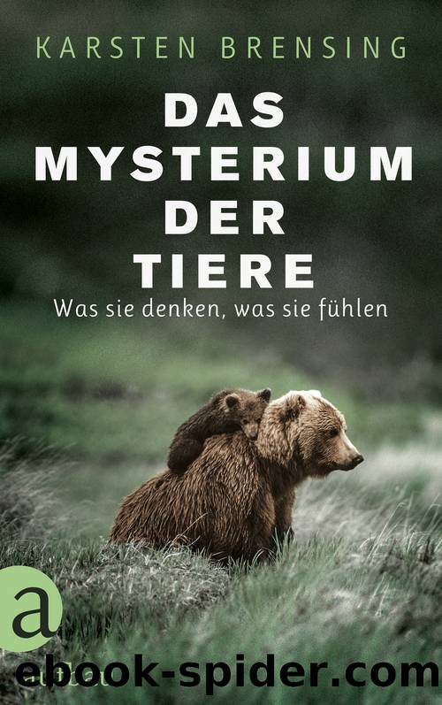 Das Mysterium der Tiere by Karsten Brensing