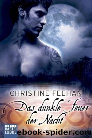 Das dunkle Feuer der Nacht: Roman (German Edition) by Feehan Christine