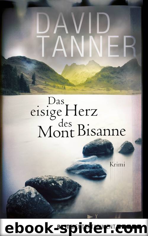 Das eisige Herz des Mont Bisanne by Tanner David