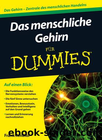Das menschliche Gehirn fÃ¼r Dummies by Frank Amthor