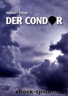 Der Condor by Adalbert Stifter