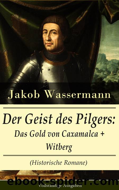 Der Geist des Pilgers by Jakob Wassermann