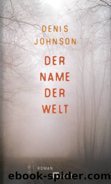 Der Name der Welt by Johnson Denis
