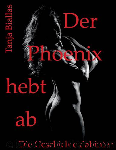 Der Phoenix hebt ab by Tanja Biallas